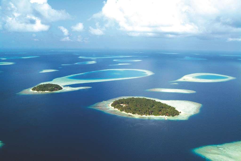 Island Biyadhoo